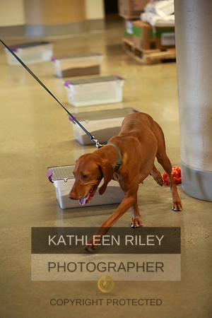 2022-KathleenRileyPhotography-7420