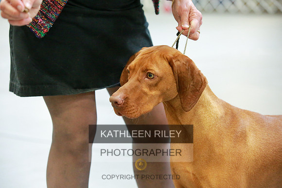 2022-KathleenRileyPhotography-8816