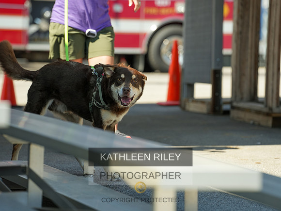 2022-KathleenRileyPhotography-04225