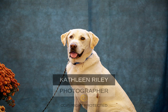 2022-KathleenRileyPhotography-0176