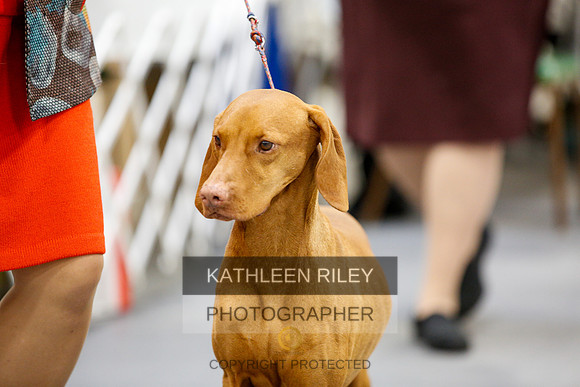 2022-KathleenRileyPhotography-2343