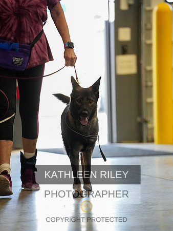 2022-KathleenRileyPhotography-03863