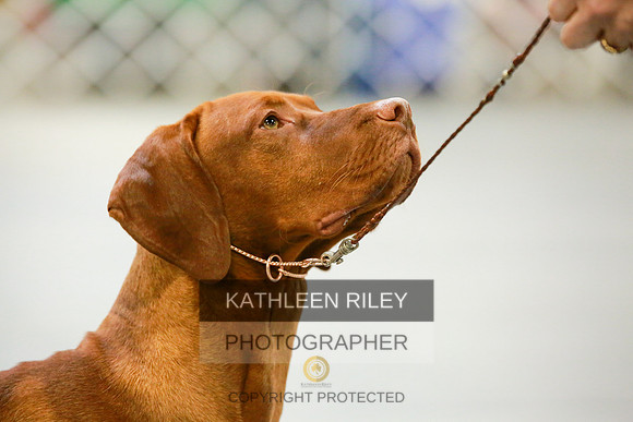 2022-KathleenRileyPhotography-8616