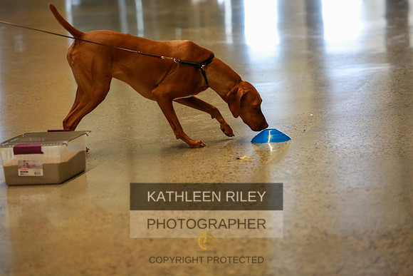2022-KathleenRileyPhotography-7527