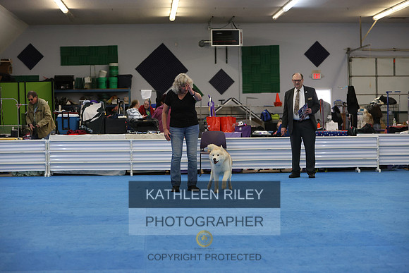 1N5A8182