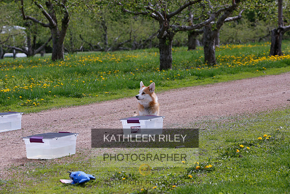 2022-KathleenRileyPhotography-8606