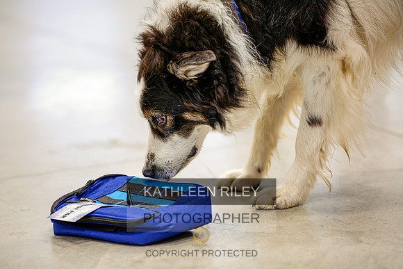 2022-KathleenRileyPhotography-7244
