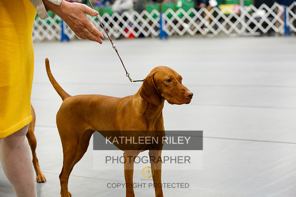 2022-KathleenRileyPhotography-9690
