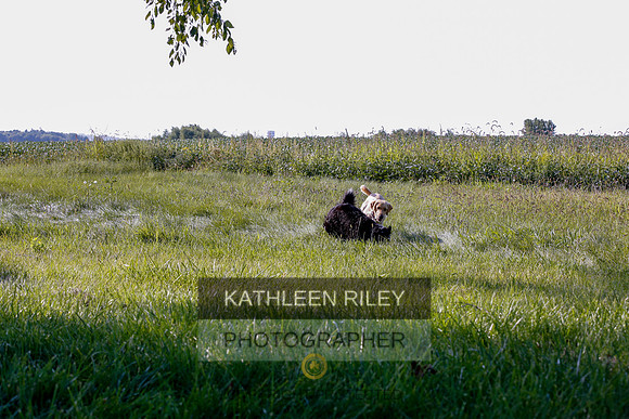 2022-KathleenRileyPhotography-7907