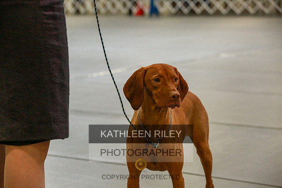2022-KathleenRileyPhotography-8770
