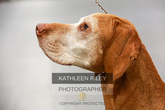 2022-KathleenRileyPhotography-8054