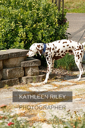 2022-KathleenRileyPhotography-9414