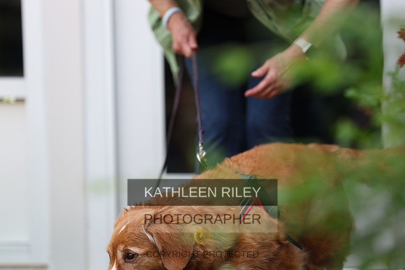 SJLT6459