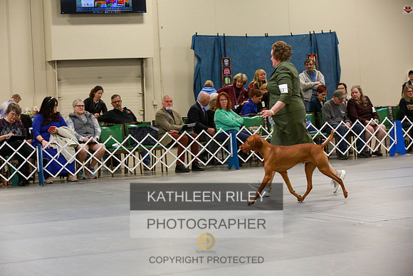 2022-KathleenRileyPhotography-8693