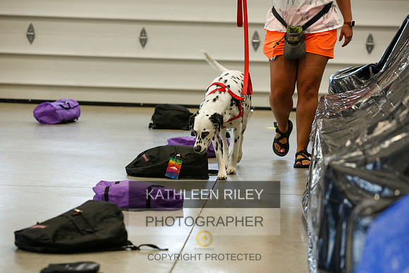 2022-KathleenRileyPhotography-4866