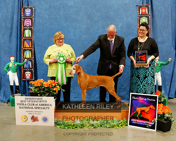 SWEEPS-BEST-VET-BITCH-2022-KathleenRileyPhotography-1955