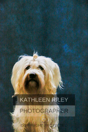2022-KathleenRileyPhotography-9421