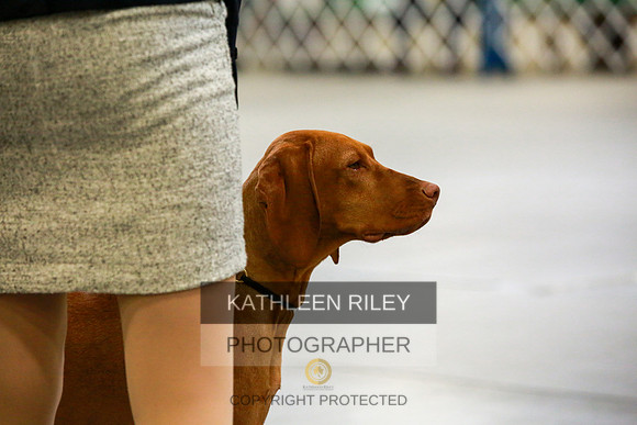 2022-KathleenRileyPhotography-8745