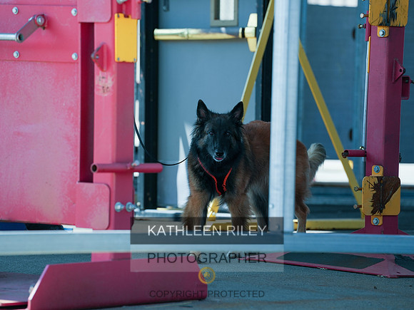2022-KathleenRileyPhotography-04175