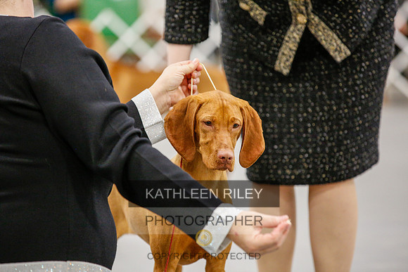 2022-KathleenRileyPhotography-1741