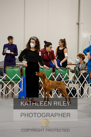 2022-KathleenRileyPhotography-1463