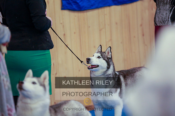 2022-KathleenRileyPhotography-6359