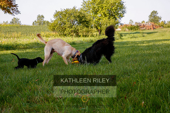 2022-KathleenRileyPhotography-5542