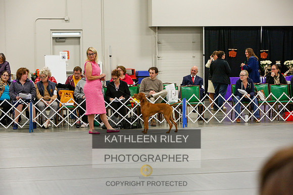 2022-KathleenRileyPhotography-5822