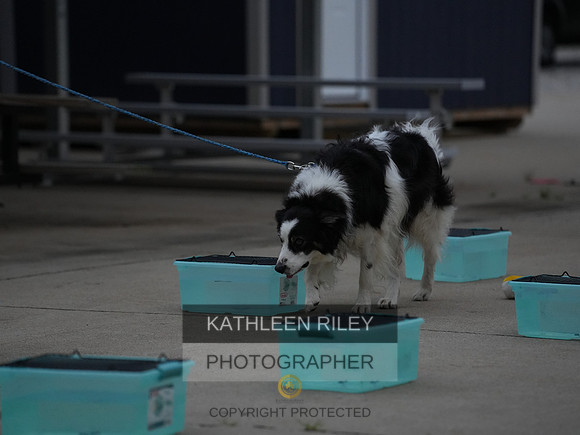 2022-KathleenRileyPhotography029