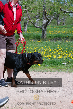 2022-KathleenRileyPhotography-8799