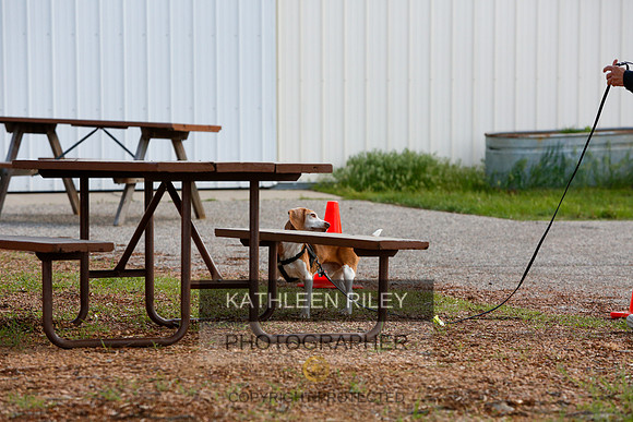 2022-KathleenRileyPhotography-0601