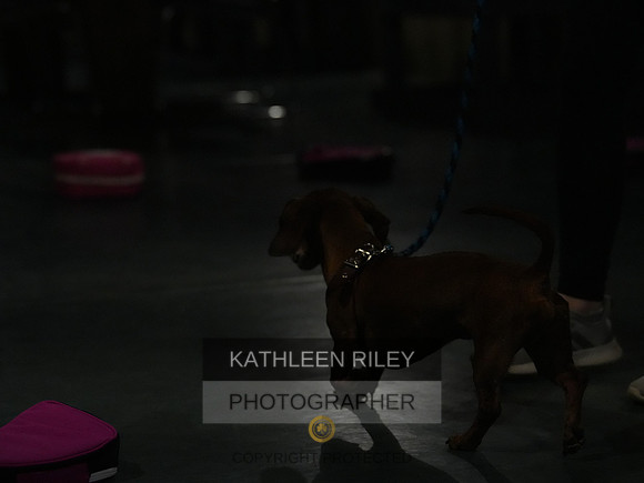 2022-KathleenRileyPhotography136