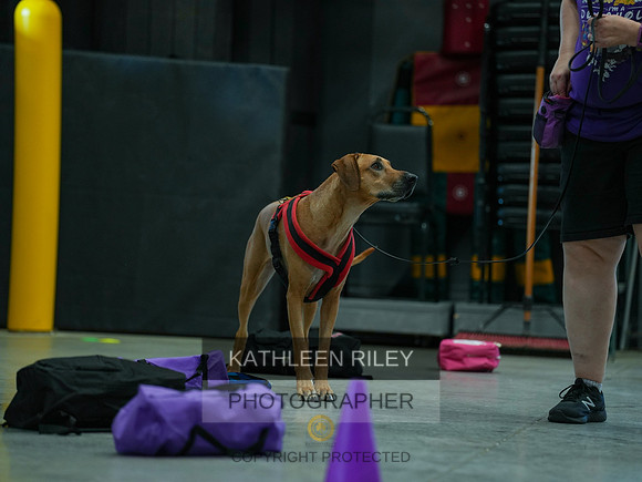 2022-KathleenRileyPhotography-03789