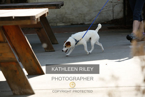 2022-KathleenRileyPhotography-2695