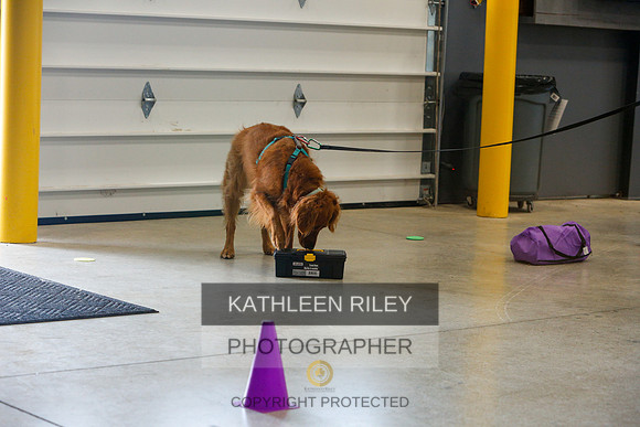 2022-KathleenRileyPhotography-4941