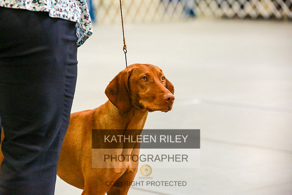 2022-KathleenRileyPhotography-8871
