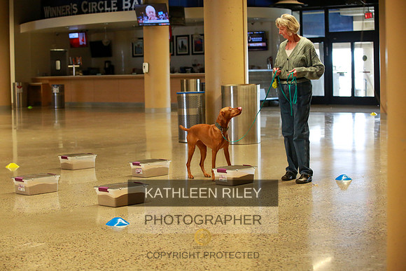 2022-KathleenRileyPhotography-7538