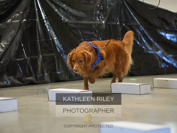 2022-KathleenRileyPhotography-03847
