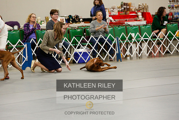 2022-KathleenRileyPhotography-5892