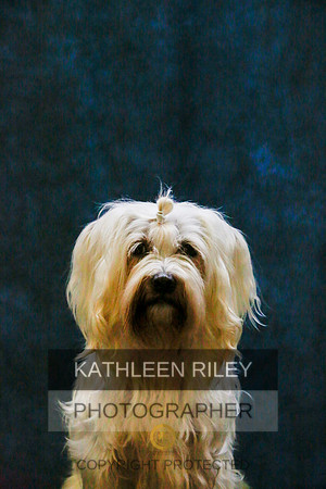 2022-KathleenRileyPhotography-9420