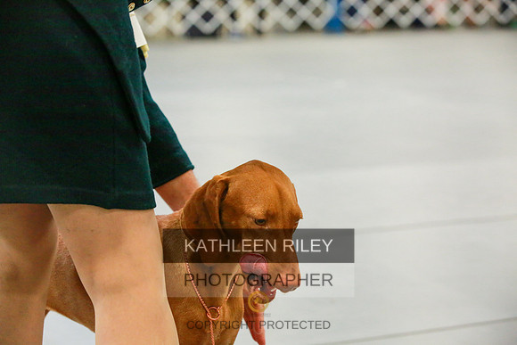 2022-KathleenRileyPhotography-8743