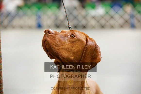 2022-KathleenRileyPhotography-8679