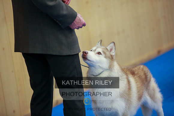 2022-KathleenRileyPhotography-5345