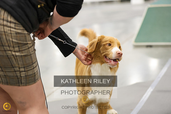 SJLT7622