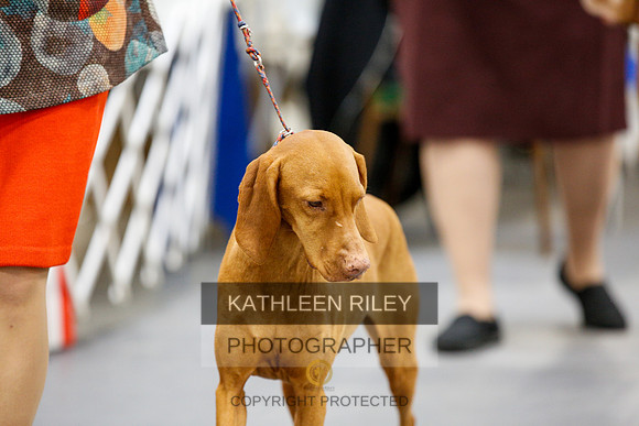 2022-KathleenRileyPhotography-2340