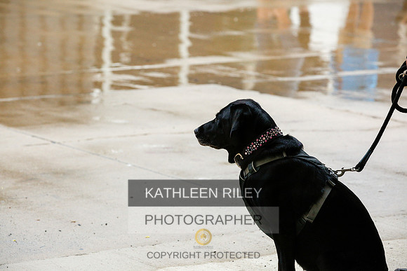 2022-KathleenRileyPhotography-6857
