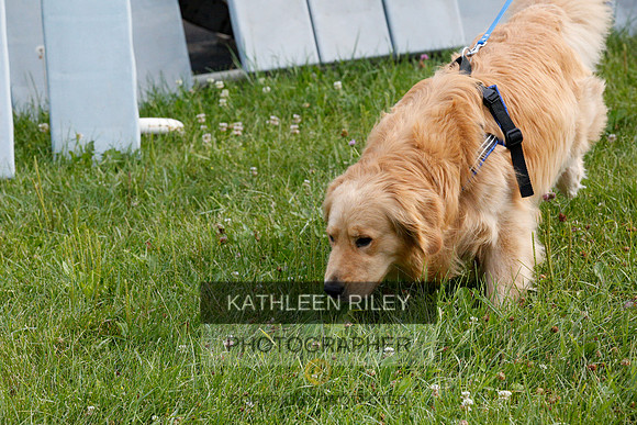 2022-KathleenRileyPhotography-9713