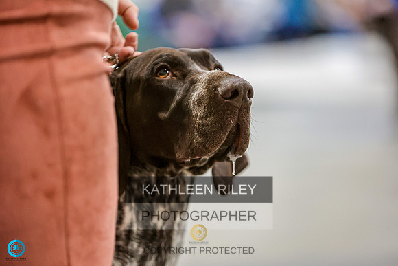 2022-KathleenRileyPhotography-8709