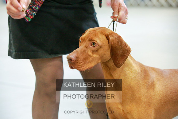 2022-KathleenRileyPhotography-8817