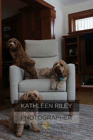 2022-KathleenRileyPhotography-1133